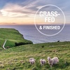 image:imageK9 Naturals FreezeDried Single Ingredient Dog Treats HighValue LowCalorie Protein Bites for Active Dogs Healthy Dog Training Treats GrainFree Reward Green Mussles 176ozLamb
